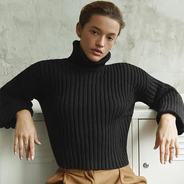 Knit Turtleneck Sweater - Eyra Apparel