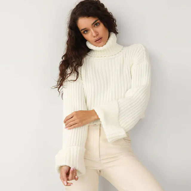 Knit Turtleneck Sweater - Eyra Apparel